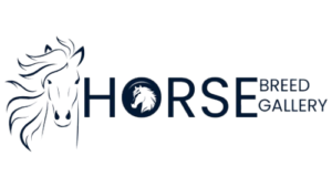 Horse Breed Gallery - Web Logo - Png